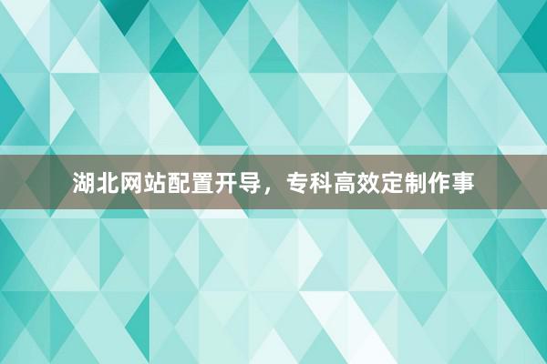 湖北网站配置开导，专科高效定制作事